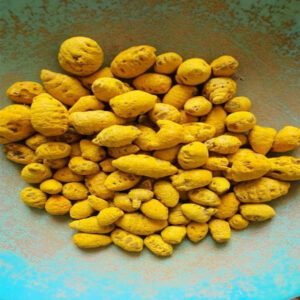 Alleppey Turmeric Bulb