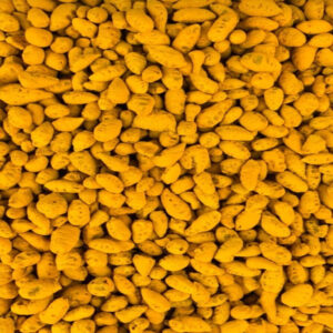Erode Turmeric Bulb