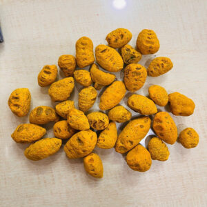 Sangli Turmeric Bulb